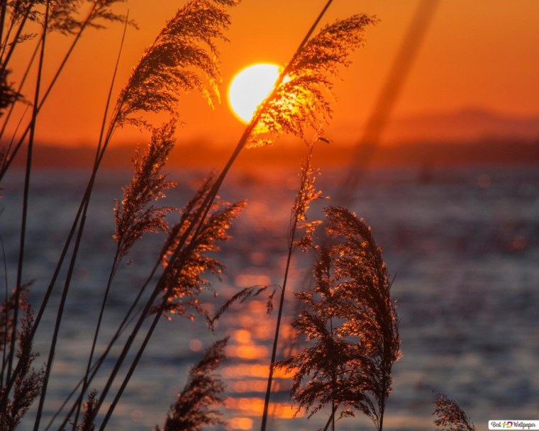 Летний закат