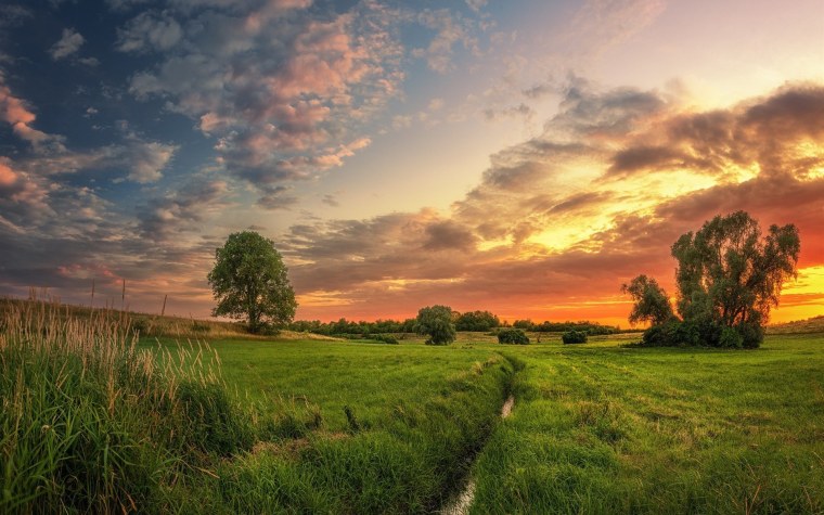 Летний пейзаж