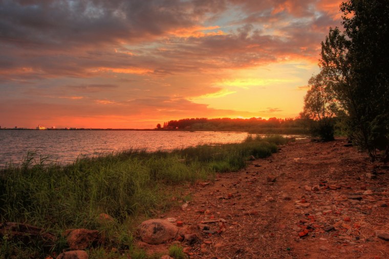 Лесостепь закат