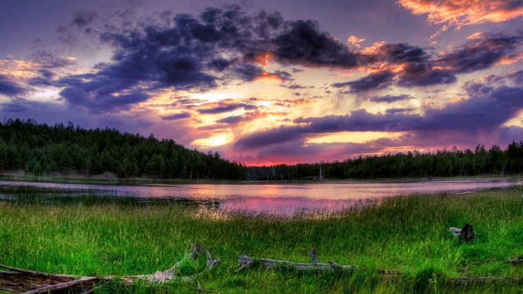 Летний пейзаж