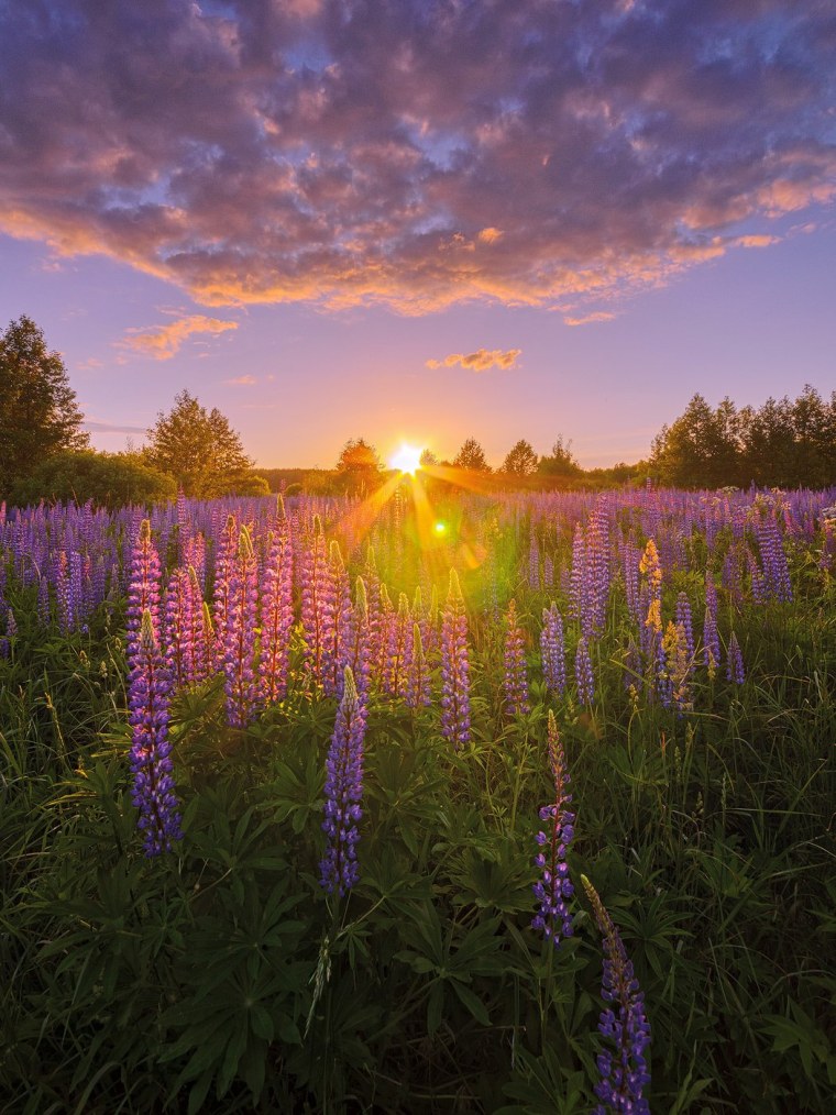 Летний закат