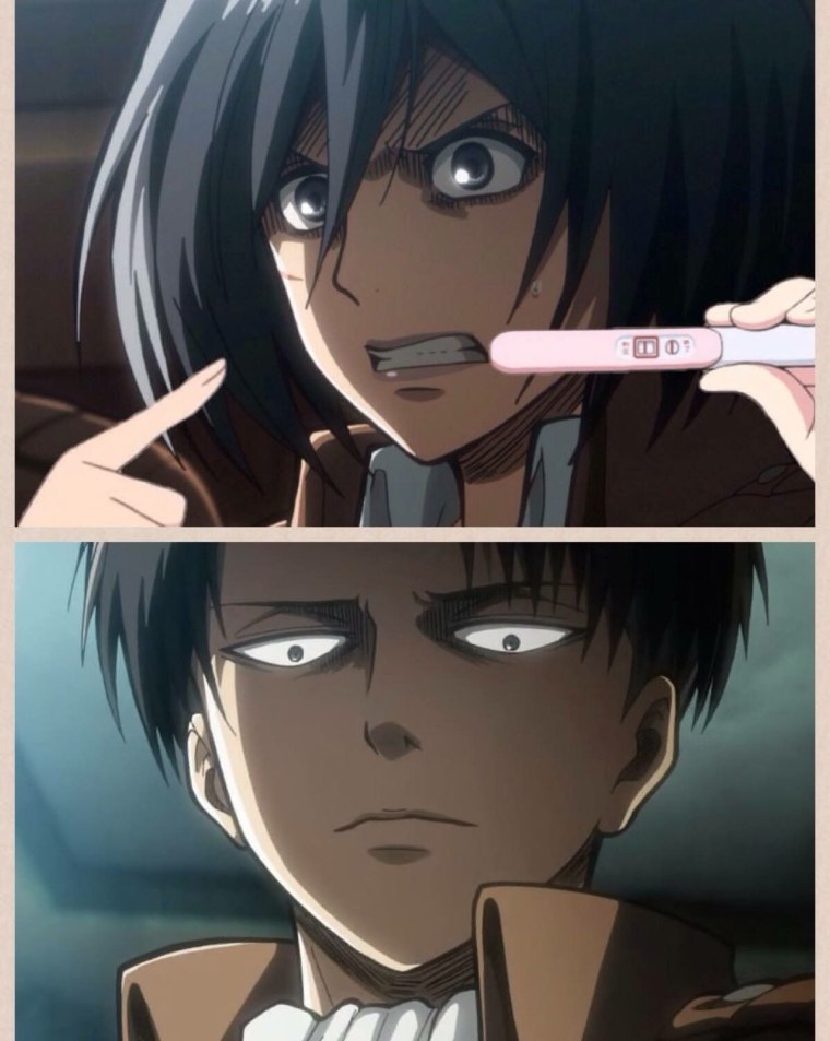 Атака титанов мемы Леви Микаса