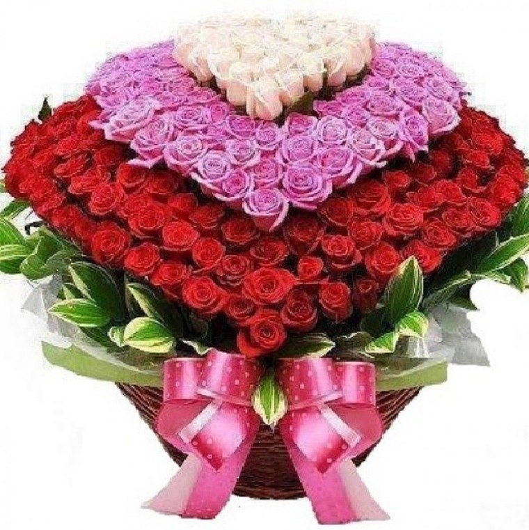 Букет красивых розовых роз