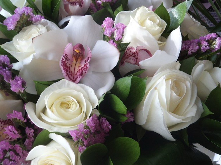 Сад Кавати Фудзи Япония