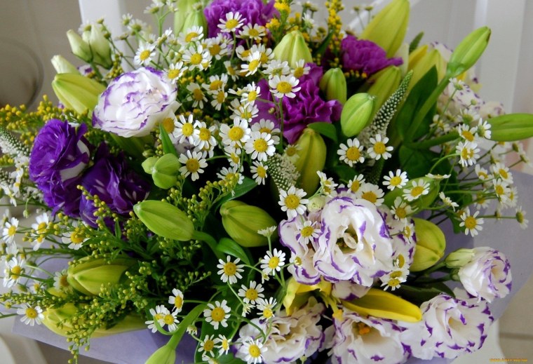 Роза Армандо