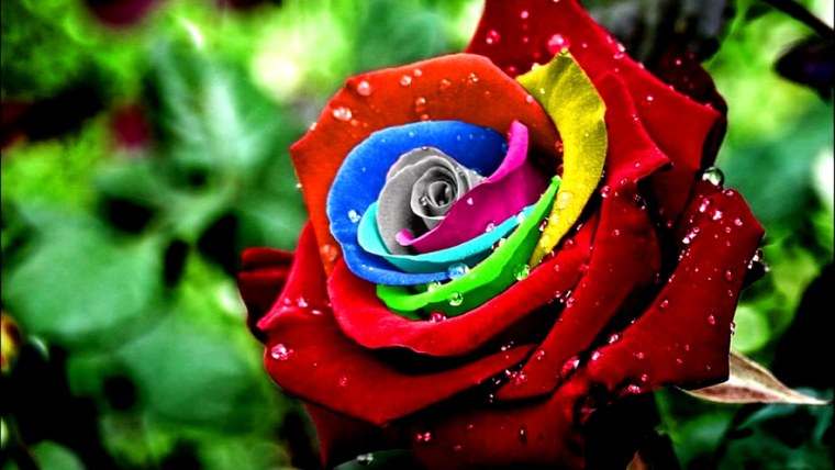 Роскошный букет цветов