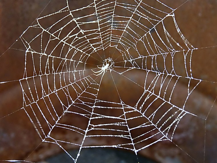 Синтетическая паутина