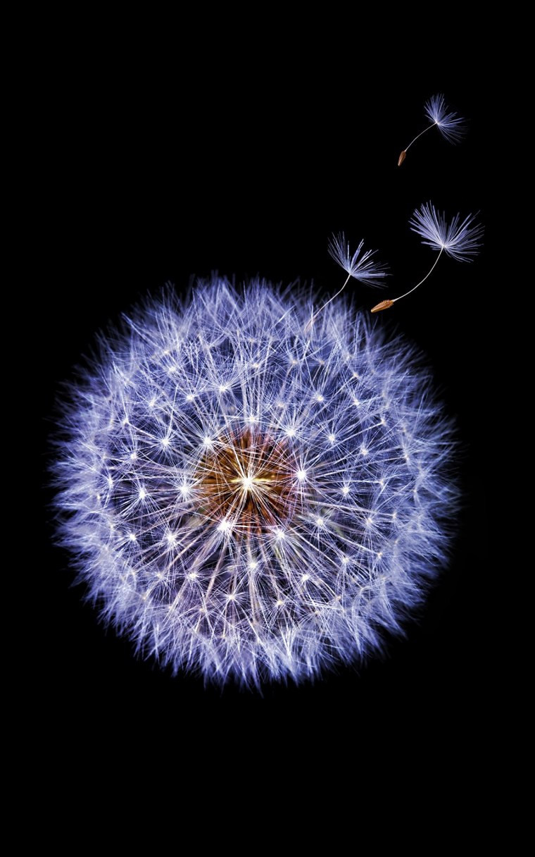 Samsung Galaxy s9 Plus Fon