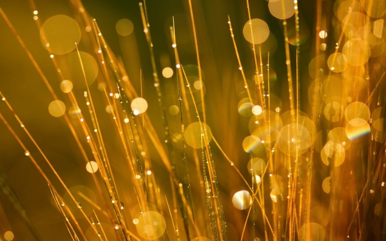 Солнечные блики