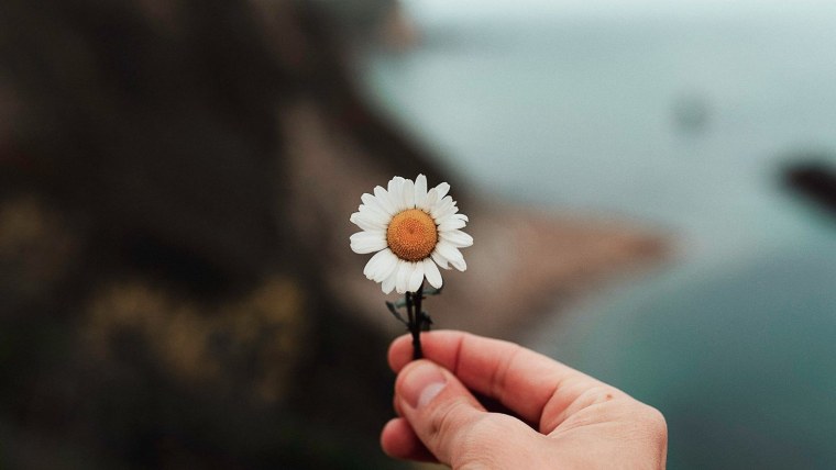 Ромашка в руке мужчины