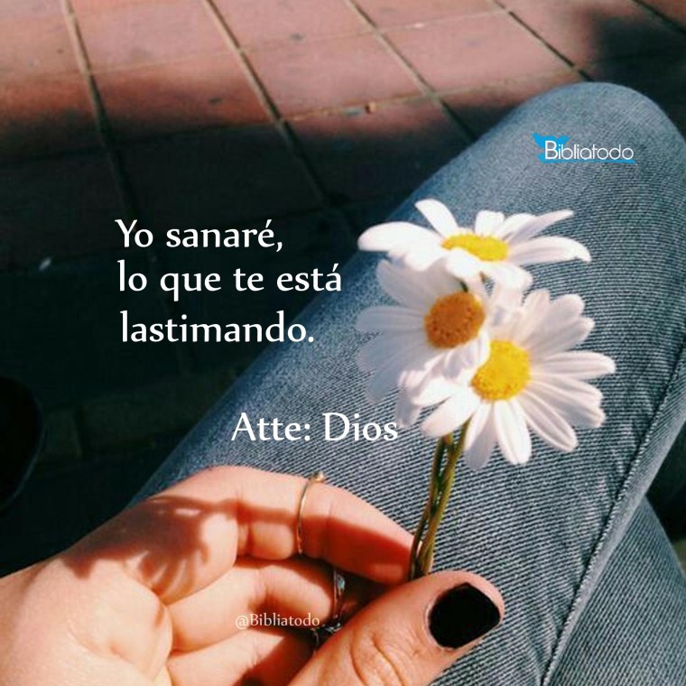 Ромашка на ладони