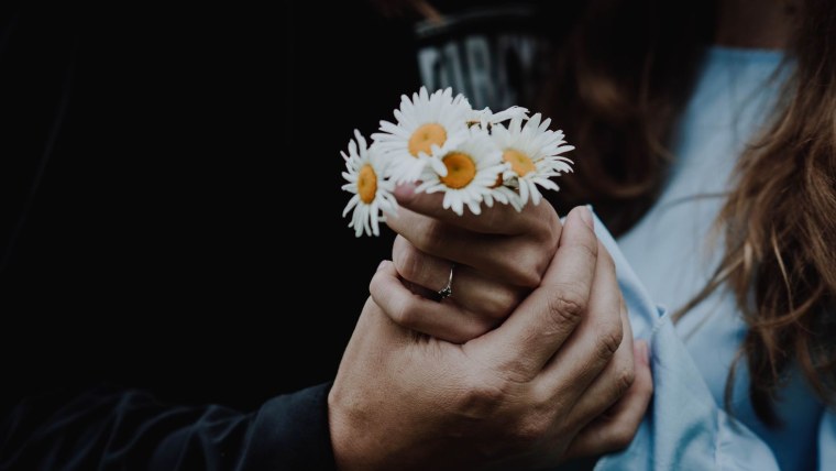 Поповник обыкновенный и Ромашка