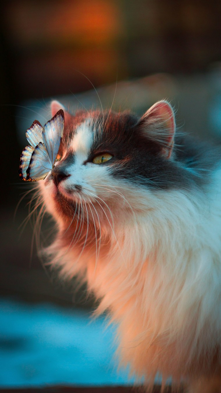 Красивый фон в голубых тонах