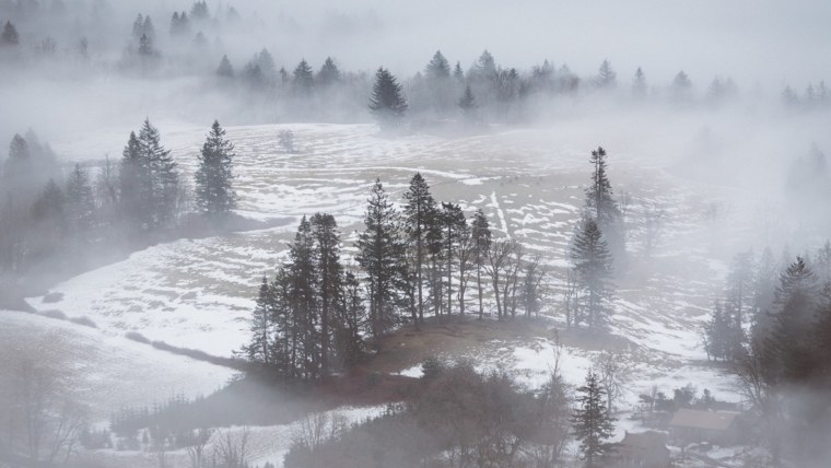 Туман зимой