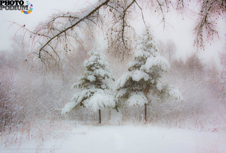 Февральская вьюга