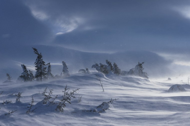 Снежная буря в тундре