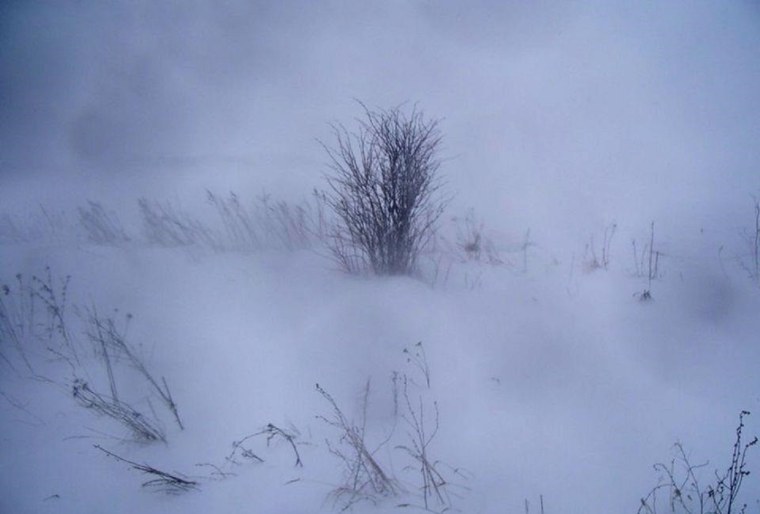 Зимний ветер