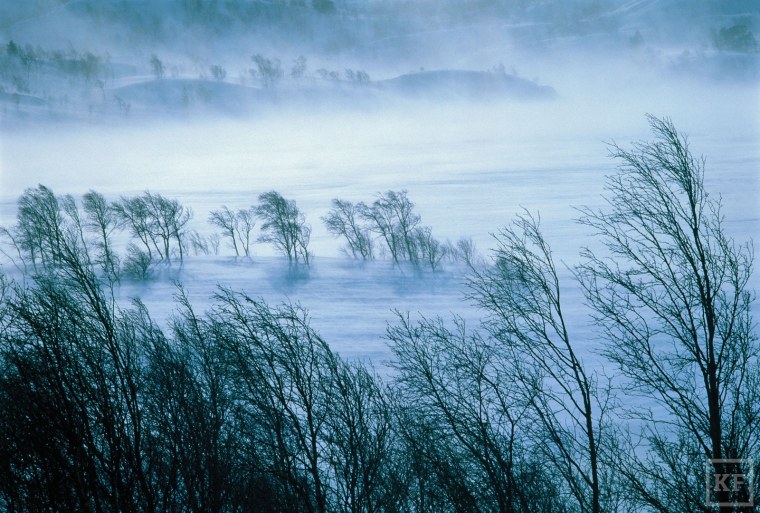 Сильная метель