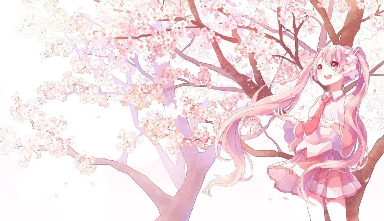 Сакура Геншин фон