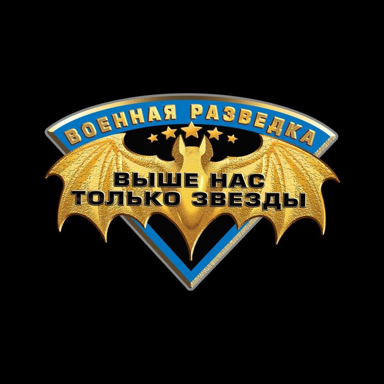 Летучая мышь разведка