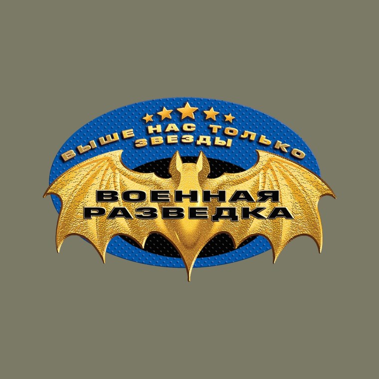 Летучая мышь разведка