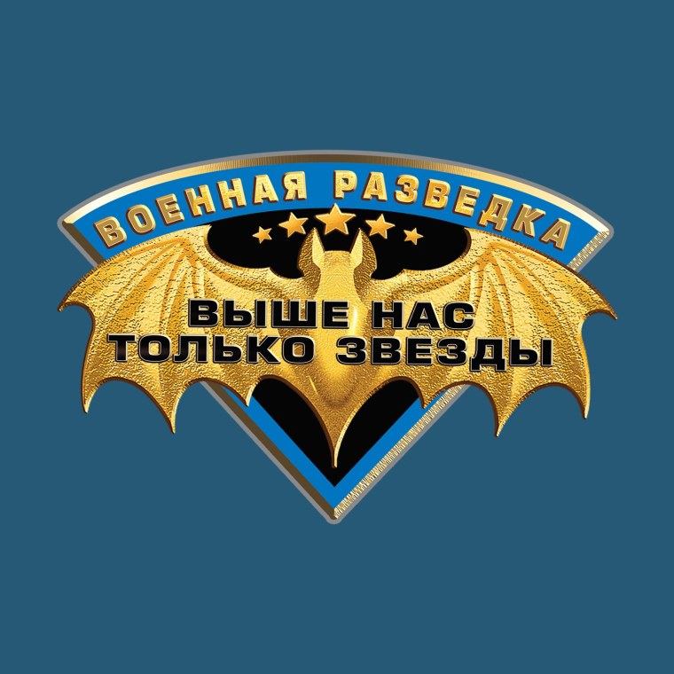 Эмблема разведки