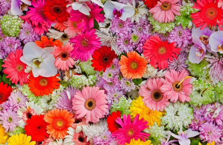 Цветы мелкие разноцветные