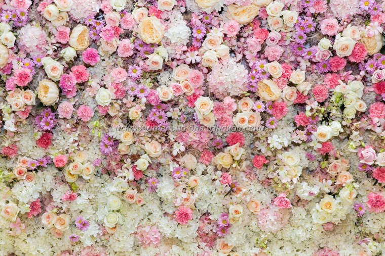 Мелкие разноцветные цветочки