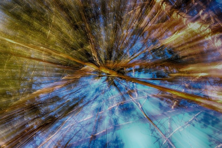 Яркий пейзаж