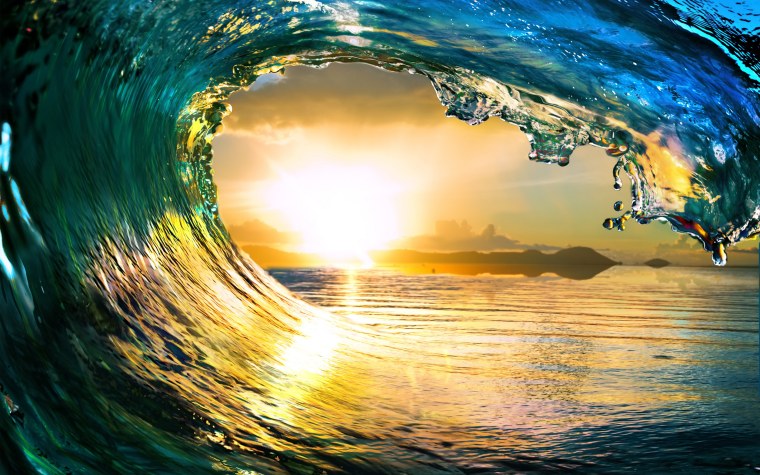 Одинокое дерево арт