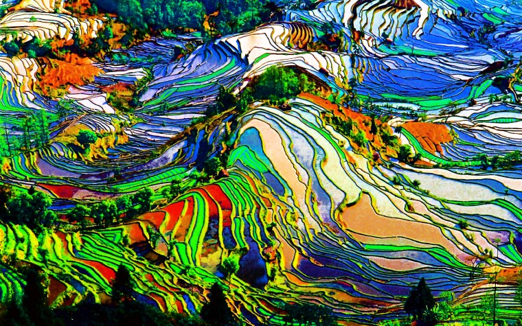 Круг в природе