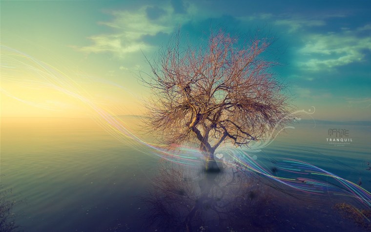 Фон джунгли для фотошопа