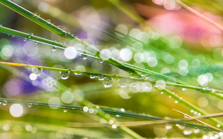 Желтая абстракция природа