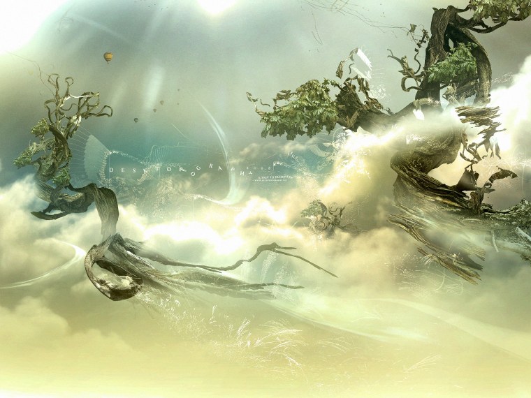 Круг в природе