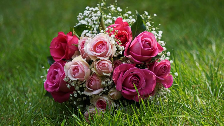 Шикарные цветы