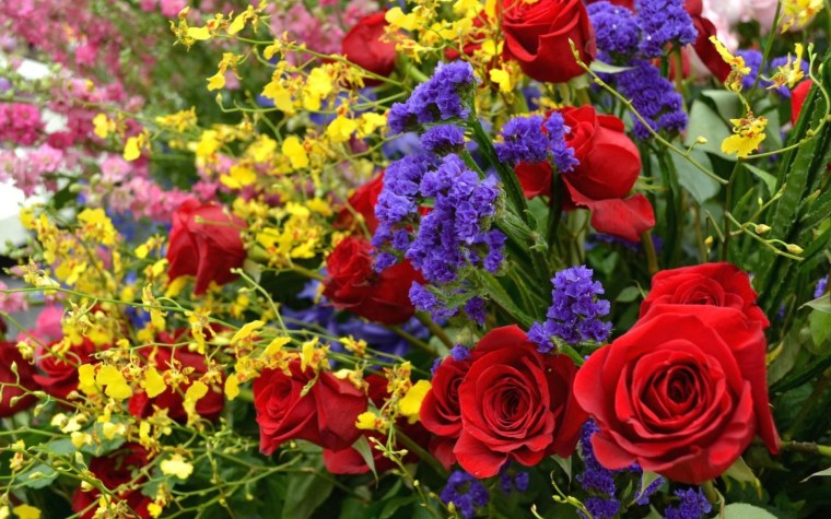 Цветы разные красивые