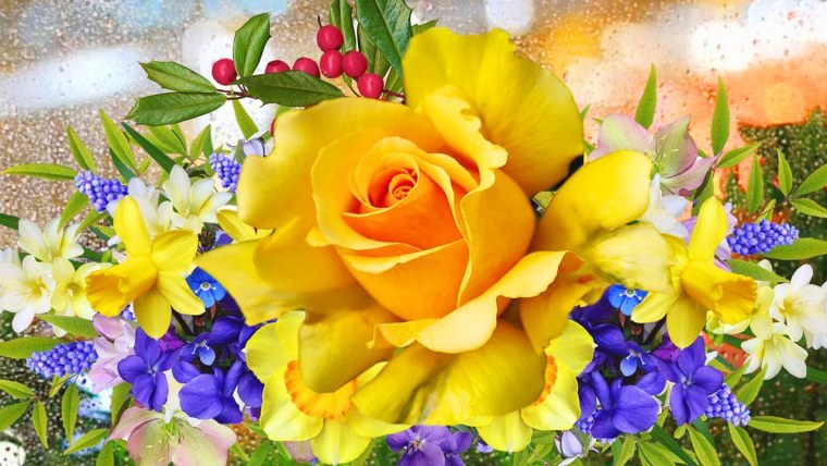 Желтая роза и мускари