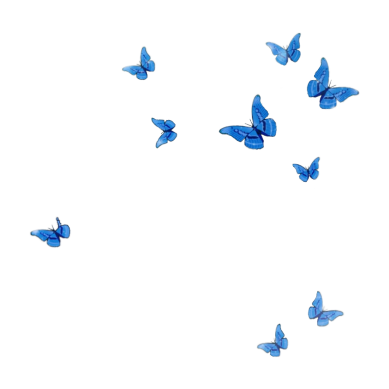 Бабочки на белом фоне