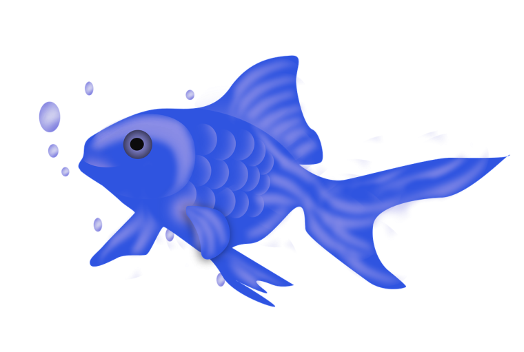 Рыбка синий