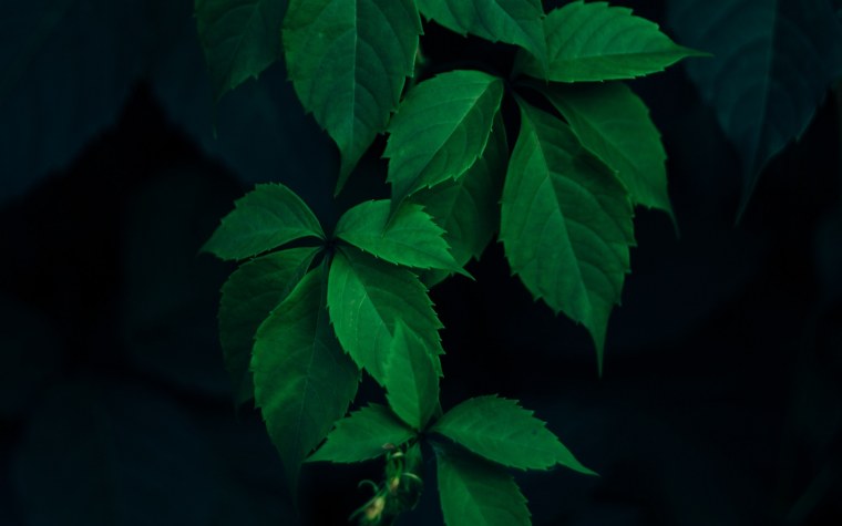 Крутые картинки на черном фоне