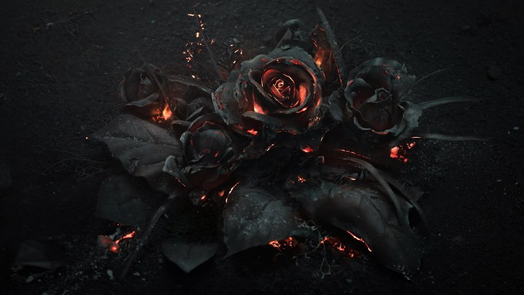 Папоротник темный