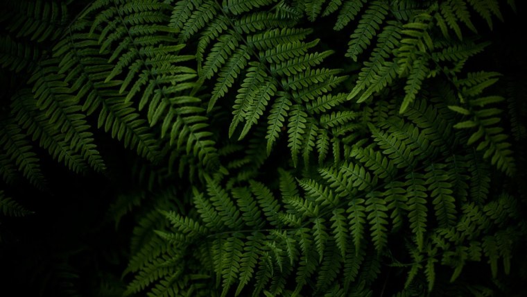 Обои на рабочий стол темные