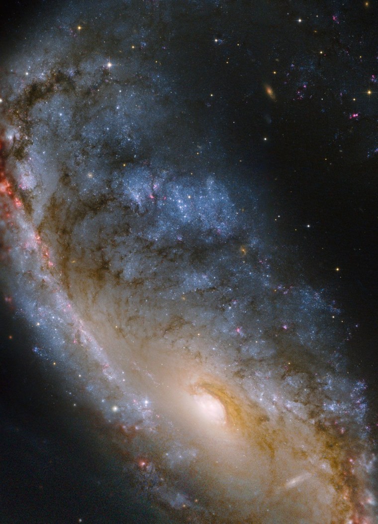 Галактика NGC 2442