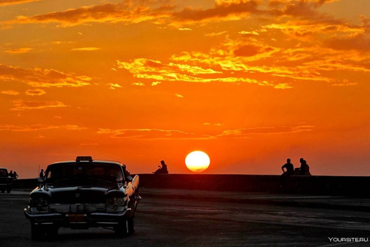 Алексеева Оксана королевство Кинзи