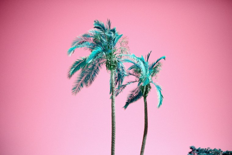 Пальмы на розовом фоне