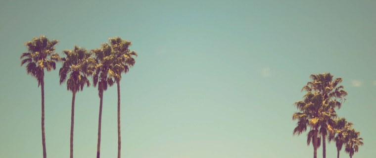 Ретро фон с пальмами