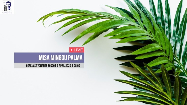 Пальмовые листья на белом фоне