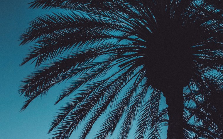 Синяя Пальма