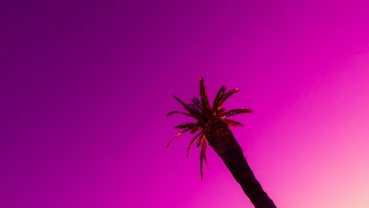 Фиолетовые пальмы
