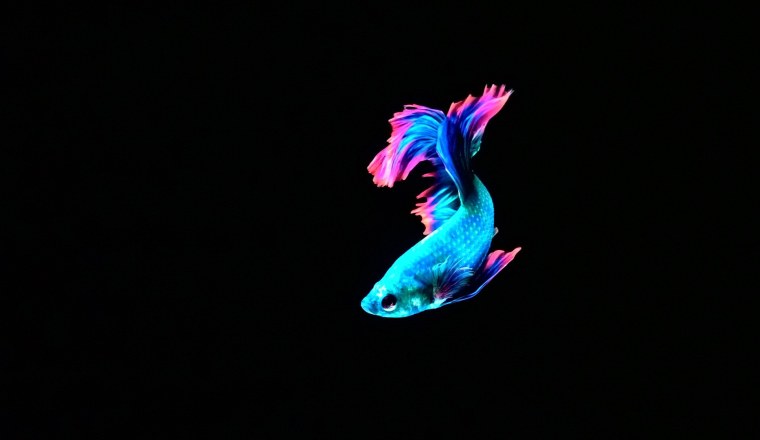 Обои для амолед дисплеев